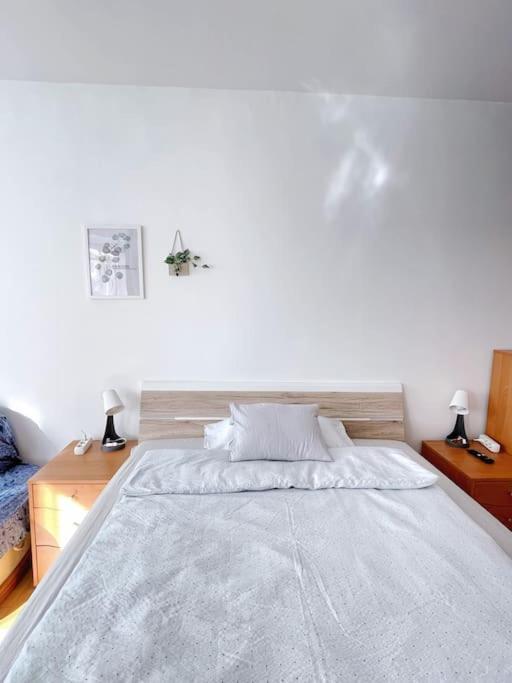 Apartment Comfort -2bedroom,central,balcony,elevator,ac Budapest