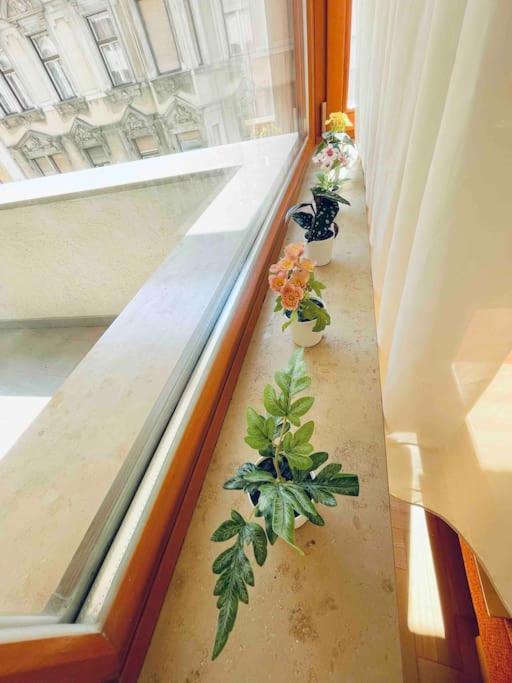 Comfort -2bedroom,central,balcony,elevator,ac Apartment Budapest